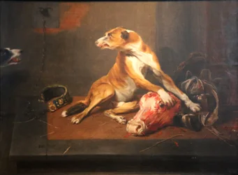 Two Dogs in a Pantry